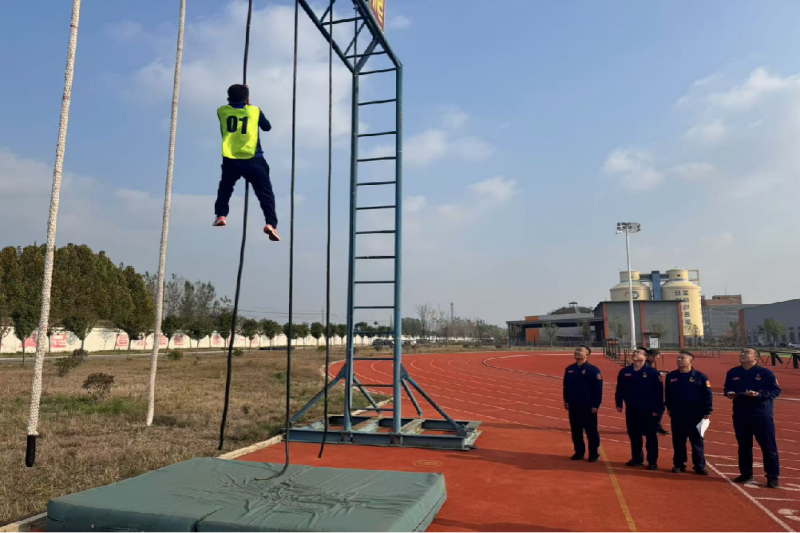 图片1567