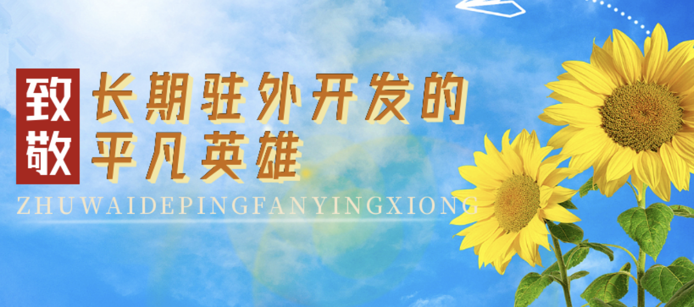 网评