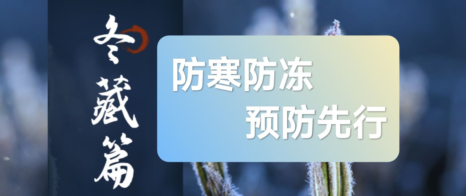 qq图片20250118170548