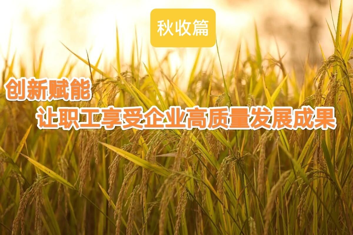 兴隆4