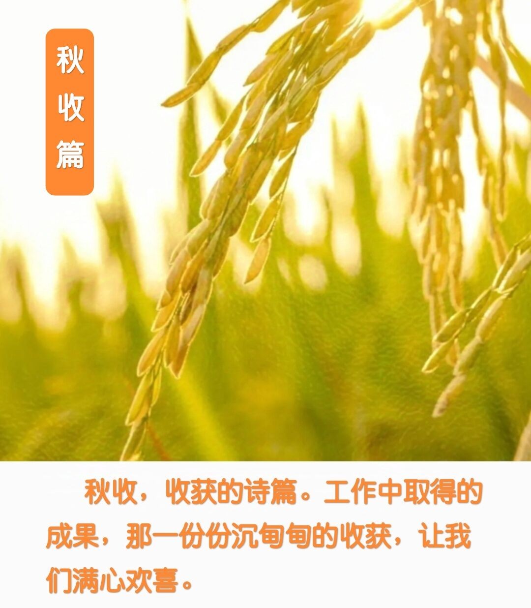 煤4